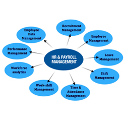 HR & Payroll Management Systems And Services Pune